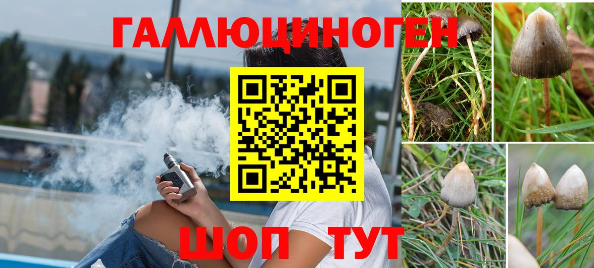 Псилоцибиновые грибы Psilocybe  Галлюциногенные грибы ЛСД  Вход с VPN  Сосновый Бор 