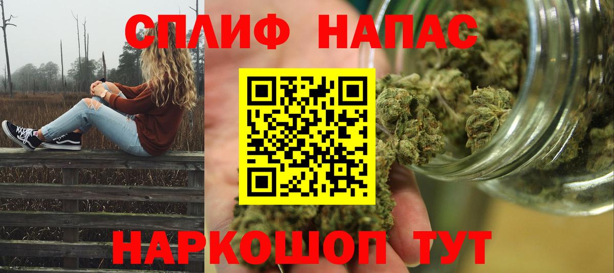 Каннабис Bruce Banner Сосновый Бор
