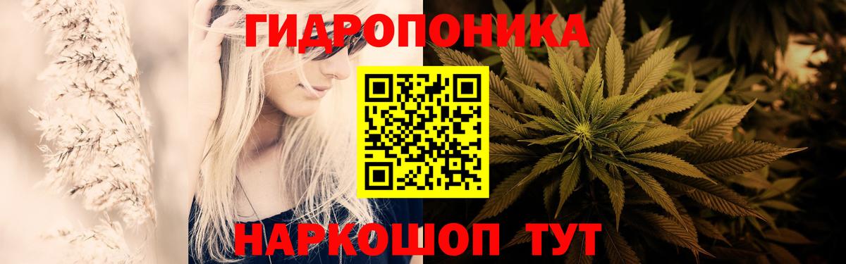 Бошки марихуана сатива  Каннабис ГИДРОПОН  Вход с VPN  Сосновый Бор 